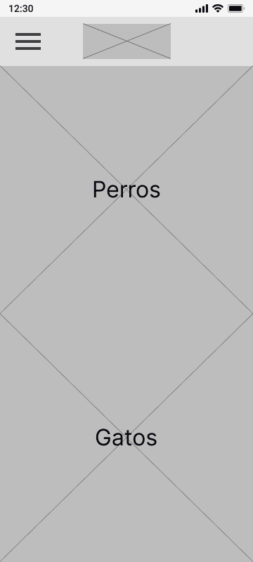 Encuentra a tu compañero Patitas Unidas Wireframe